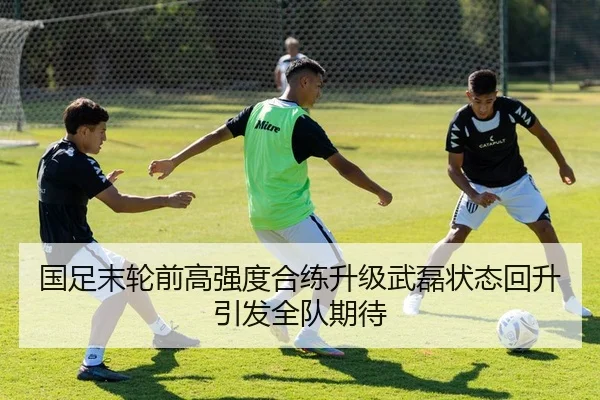 国足末轮前高强度合练升级武磊状态回升引发全队期待